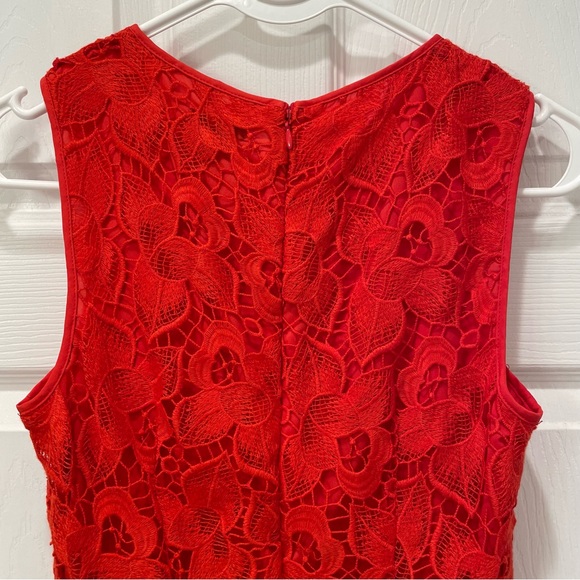 Ann Taylor Lace Dress - Picture 5 of 16